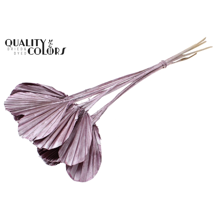 <h4>Palm Spear Heart per stem Metallic Pink</h4>