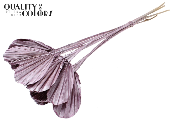 Palm Spear Heart per stem Metallic Pink