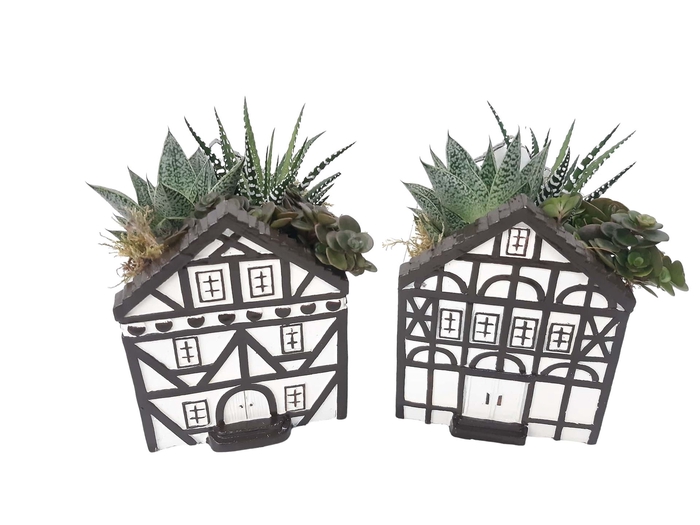 <h4>Arr.   Kamerplant Groen L%</h4>