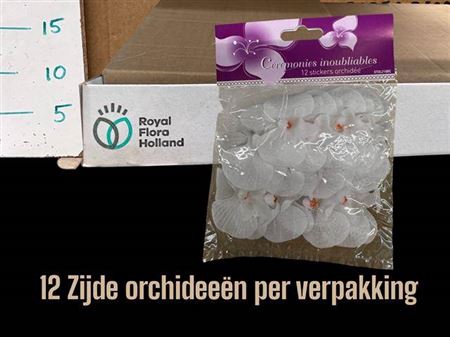 <h4>Huis En Tuindeco H%</h4>