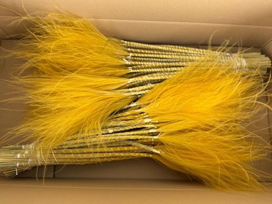 <h4>Df Stypha 60cm Bs Apricot</h4>