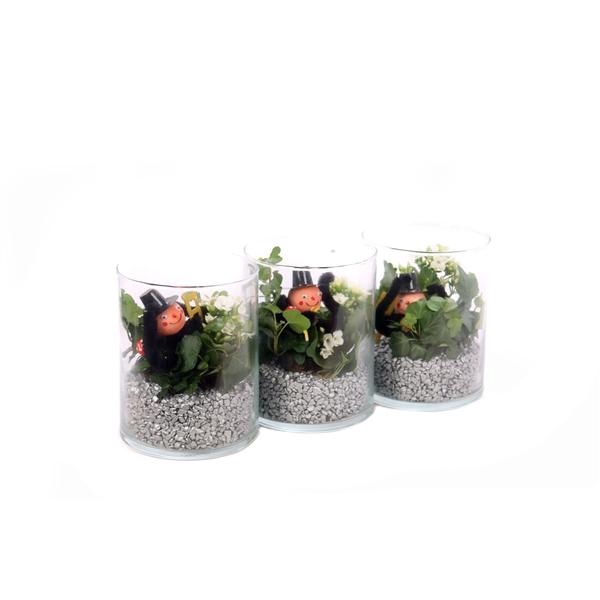 <h4>Opgemaakt cilinder glas hedera kalanchoe en silvester bijsteke</h4>