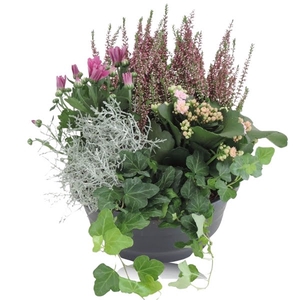 Arrangement in Schaal 23 cm