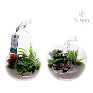 Glas Appel en Peer met arrangement