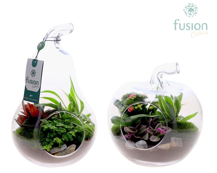 <h4>Glas Appel en Peer met arrangement</h4>