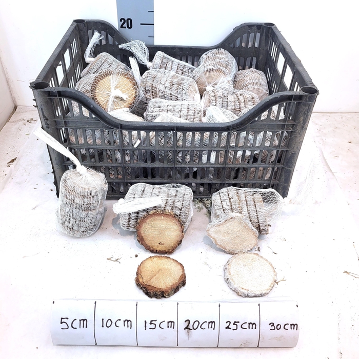 <h4>HUIS EN TUINDECO OV</h4>