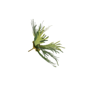 Silk Fern Staghorn Green 51cm