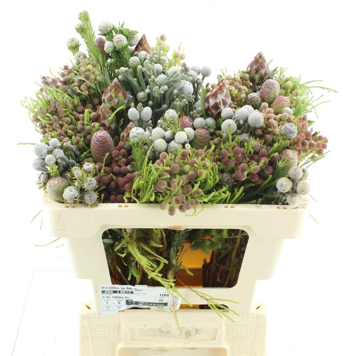 <h4>Kaaps Bouquet Cape Mix</h4>