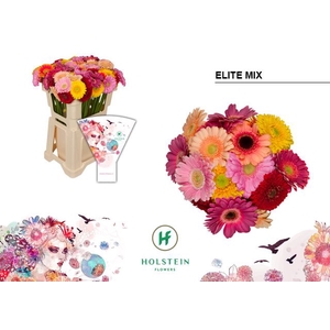Germini Mix Elite Water