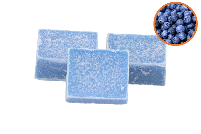 Amberblok Blue Berry 3,5x4,5cm P/1 Nm