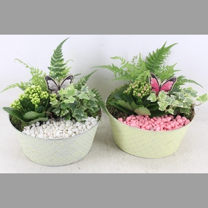 arr2 PL - Zink rond ruit - roze/wit