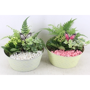 arr2 PL - Zink rond ruit - roze/wit