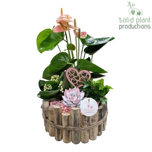 HVAE002 Milano Large Pink