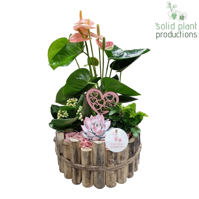 <h4>HVAE002 Milano Large Pink</h4>