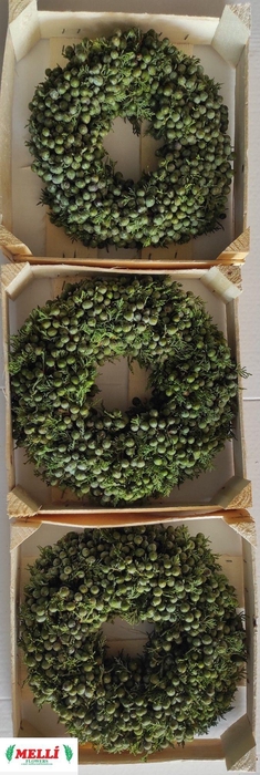 <h4>SIERFRUIT KRANS H%</h4>