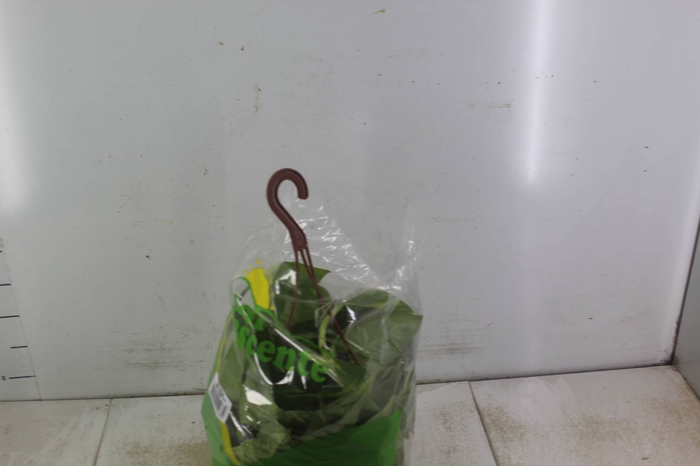 <h4>JIBOIA VERDE C21 PENDENTE</h4>