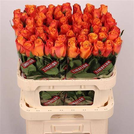 <h4>R Gr Confidential</h4>