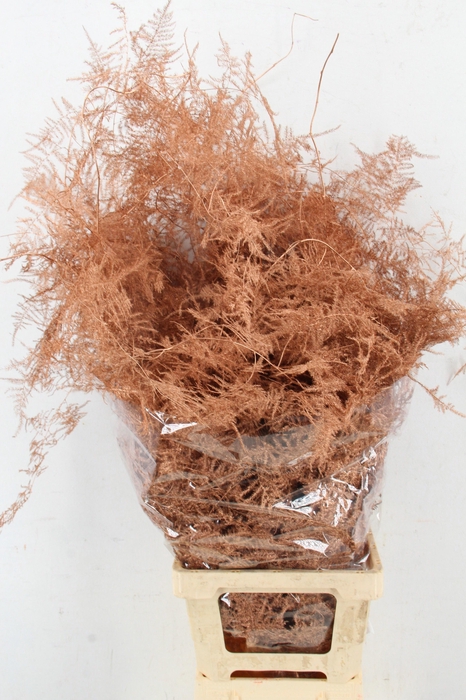 <h4>ASP OV KLB H%</h4>