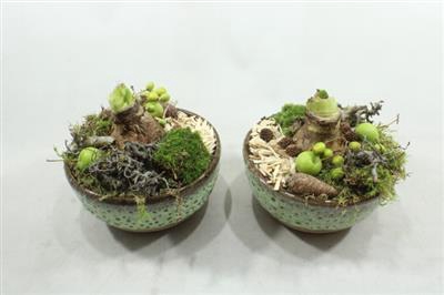 <h4>AM118 KER SCHAAL AMAR</h4>