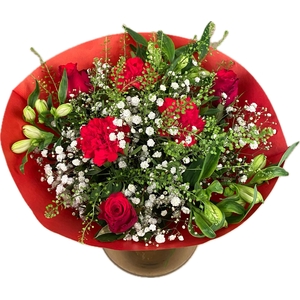 Bq Whisper Wonder Red L