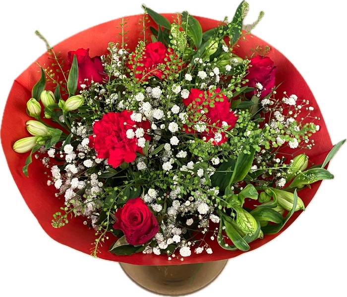 <h4>Bq Whisper Wonder Red L</h4>