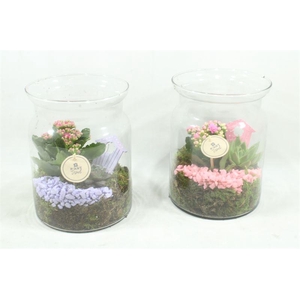 arr2 PT Vaas Bose hoog - roze/lila