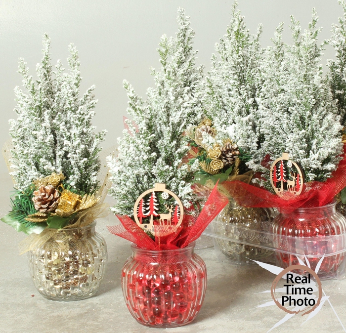 <h4>CHAM L ELLWOODII</h4>