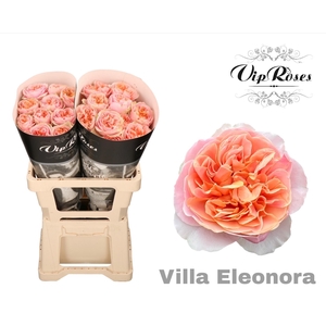 R GR VILLA ELEONORA