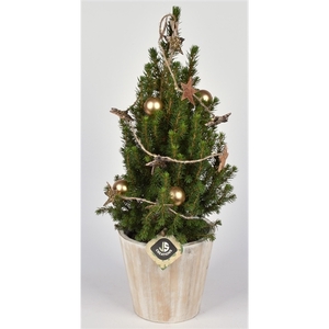 Hout emmer ww met Kerstsl. en LED 15cm