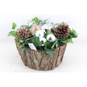 arr2 PL - Schors pot hedera Zilver 1bolwax