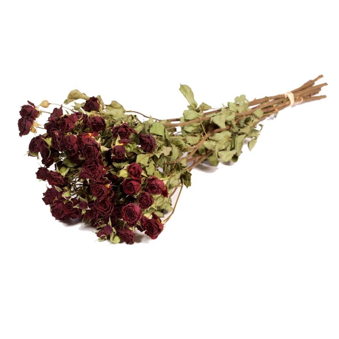 <h4>Roses Spray Natural Red</h4>