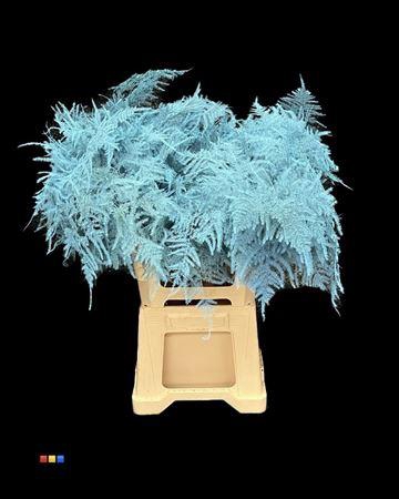 <h4>Asp Extra Light Blue</h4>