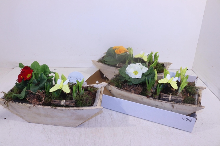 <h4>ARR TUINPLANTEN</h4>