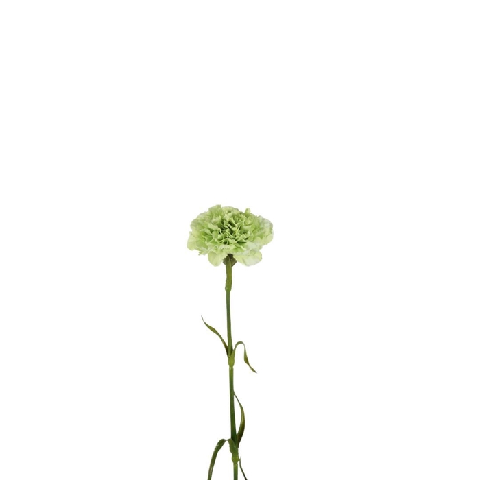 <h4>Artificial flowers Carnation 53cm</h4>