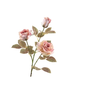 Rosa Spray Dried Pink