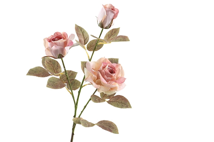 <h4>Rosa Spray Dried Pink</h4>
