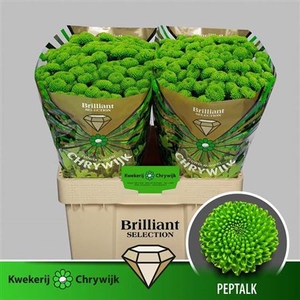 CHR S PEPTALK BRILLIANT