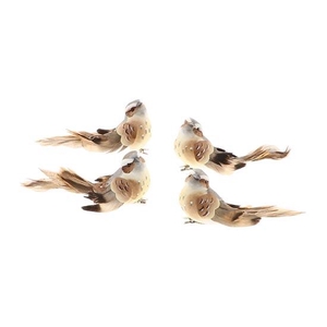 Birds On Clip 4Pcs L12W9H9