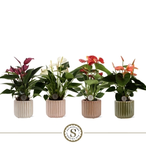 Porto Keramiek - Mix