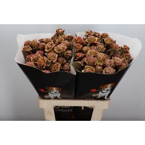 Wax-Rozen Wax Wit Zilver glitter