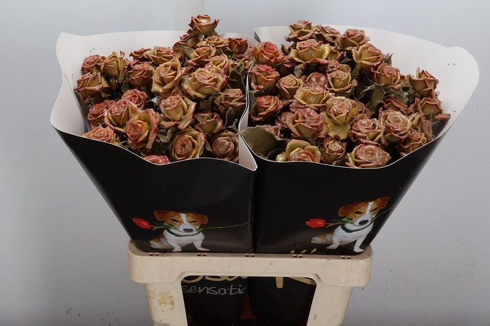 <h4>Wax-Rozen Wax Wit Zilver glitter</h4>