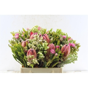 Protea Boeket