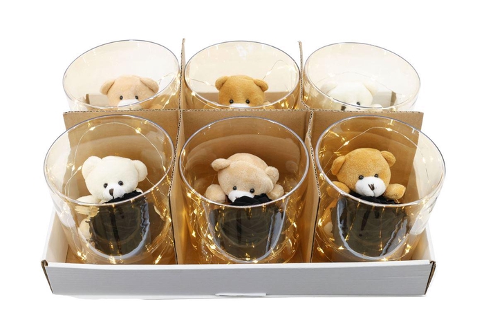 <h4>Arrangementen Potroos H%</h4>