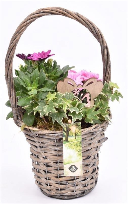 Wilg hengselmand gy 17cm