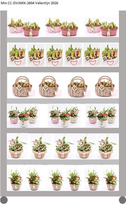 <h4>Mix CC JSVJMIX-2604</h4>