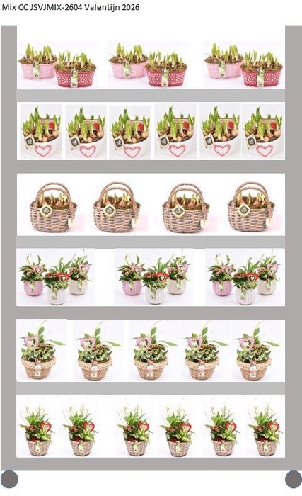 <h4>Mix CC JSVJMIX-2604</h4>