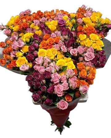 <h4>R Tr Gemengd</h4>