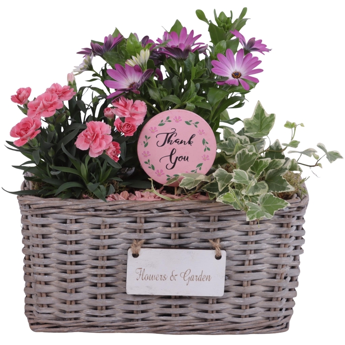 <h4>Mothersday Arr. Outdoor Willow Basket Flowersign Ø30cm 3PP</h4>