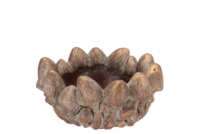 <h4>Concrete Golden Mushrooms Bowl Round 21x21x10cm</h4>