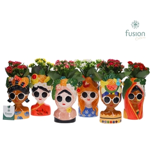 Keramiek Wereldvrouwen met Kalanchoe